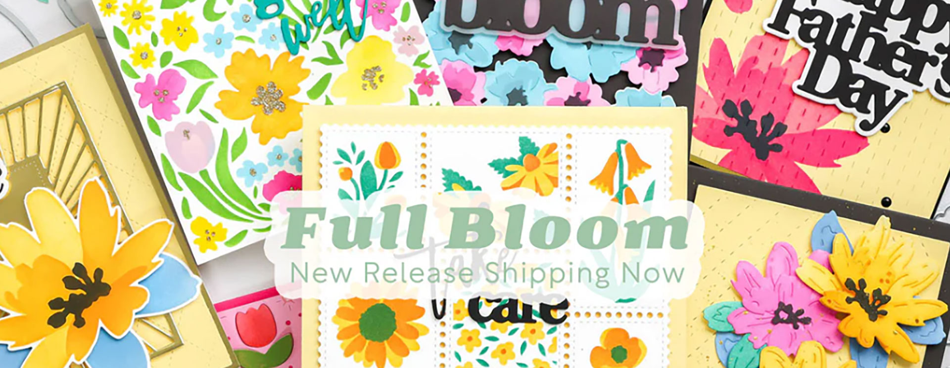 Waffle Flower : Full Bloom
