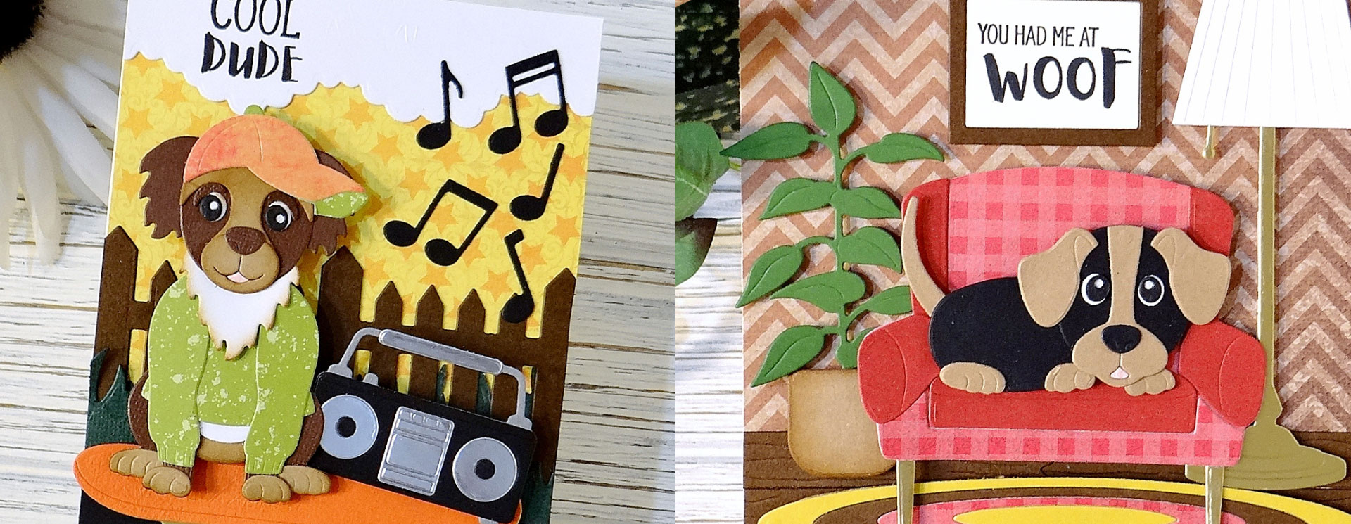 ECD : The New Dog Days Collection