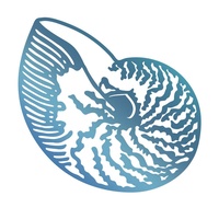 Couture Creations Seaside & Me Hotfoil Stamp Atlantic Shell