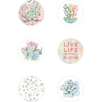 Kaisercraft Greenhouse Curios