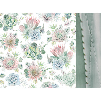 Kaisercraft Greenhouse Scrapbook Paper Succulents