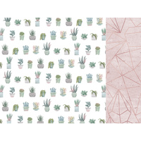 Kaisercraft Greenhouse Scrapbook Paper Aloe
