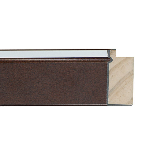 4N 14x14" Frame Matted to 12x12" Mocha & Silver