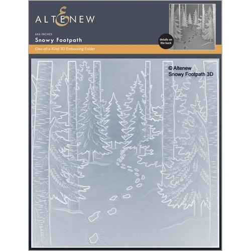 Altenew Snowy Footpath 3D Embossing Folder
