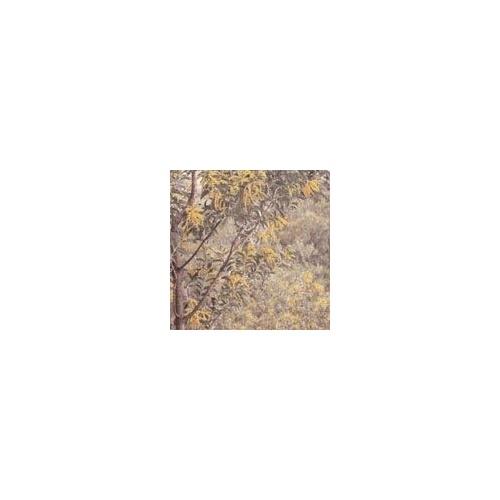 Print Blocks Paper Golden Acacia 