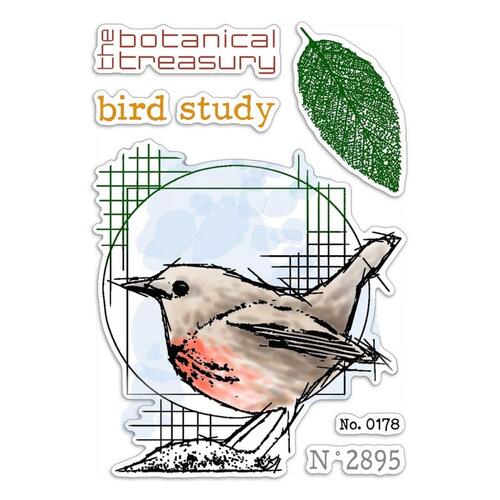 Ciao Bella Bird Study Stamp