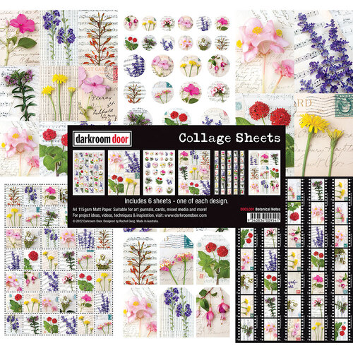 Darkroom Door Botanical Notes Collage Sheets