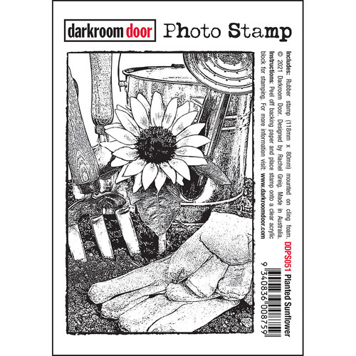 Darkroom Door Planted Sunflower Photo Stamp