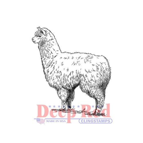 Deep Red Stamp Alpaca