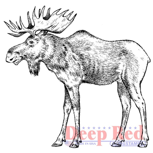 Deep Red Stamp Moose