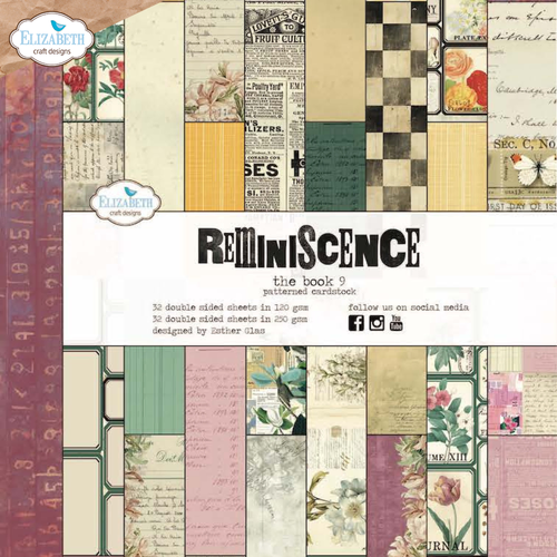 Elizabeth Craft Reminiscence The Book 9