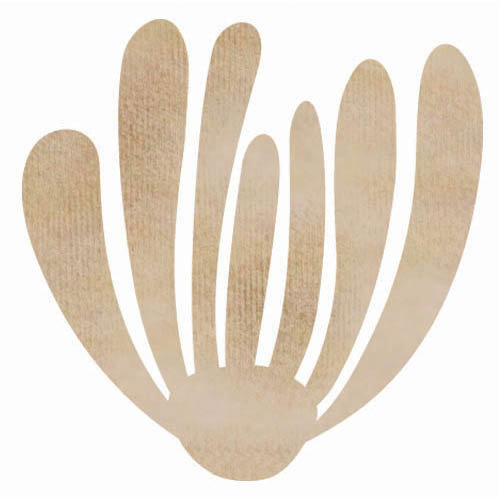 Kaisercraft Wooden Flourishes Sea Grass