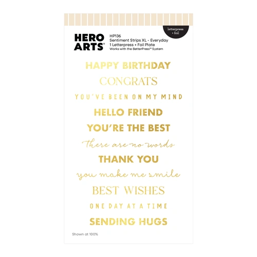 Hero Arts Sentiment Strips XL - Everyday Letterpress + Foil from the Say it With Style Collection