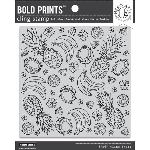 Hero Arts Island Fruits Bold Prints Stamp