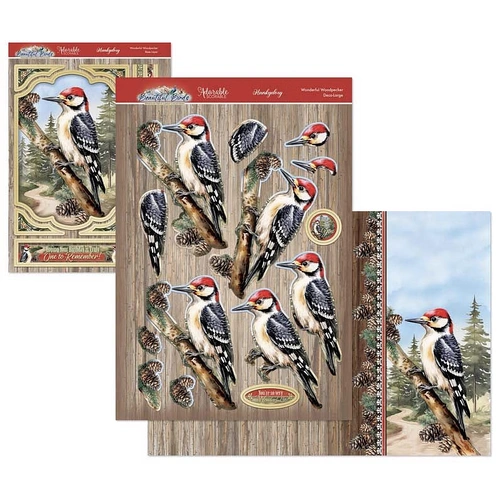 Hunkydory Beautiful Birds - Wonderful Woodpecker Deco-Large Set