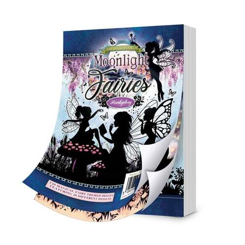 The Little Hunkydory Book of Moonlight Fairies