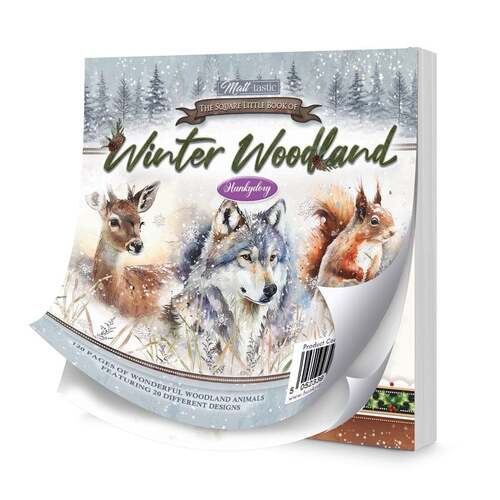 The Little Square Book of Winter Woodland