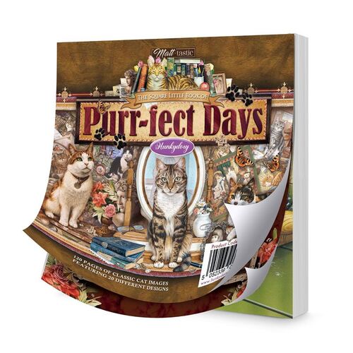 The Square Little Hunkydory Book of Purr-fect Days