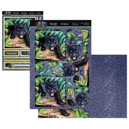 Hunkydory Have a Wild Day Deco-Large Set