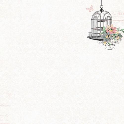 Kaisercraft Birdcage Paper
