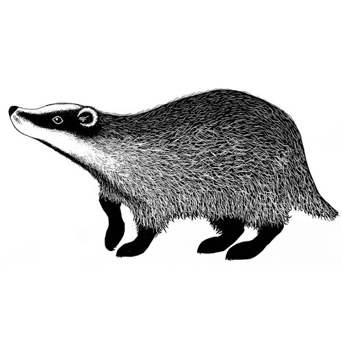 Lavinia Badger 2 Stamp