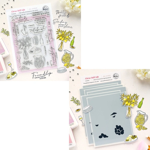 PinkFresh Studio Citrus Still Life Stamp & Stencil Bundle