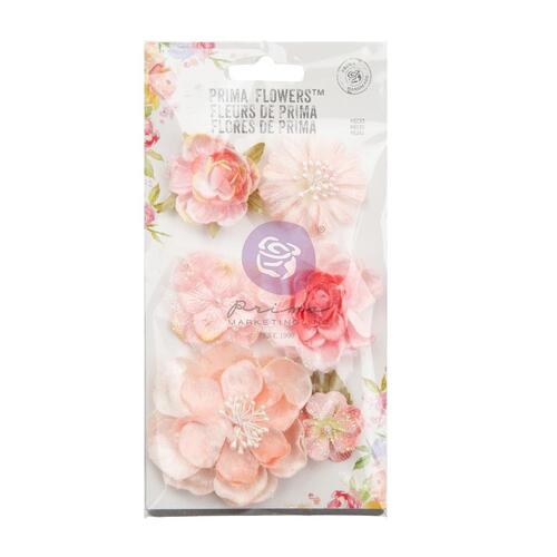 Prima Strawberry Milkshake Velvety Smooth Flowers