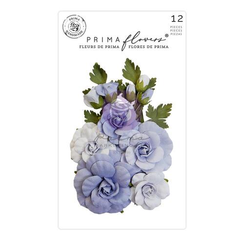 Prima The Plant Department Sweet Blue Flowers