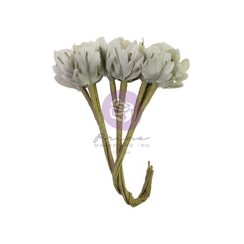 Prima Lost in Wonderland Timeless Tales Flowers