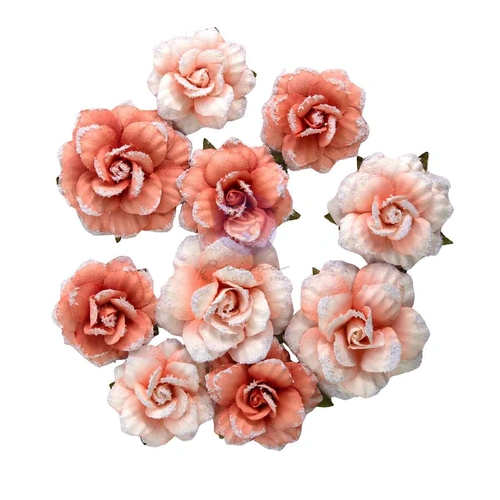 Prima Homegrown - Flowers : Blush Harvest