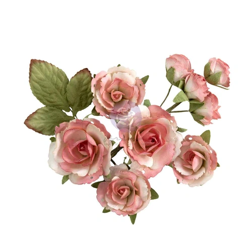 Prima Homegrown - Flowers : Garden Rose Blush