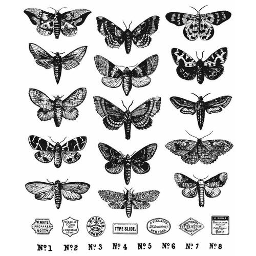 Tim Holtz Moth Study Stamp Set