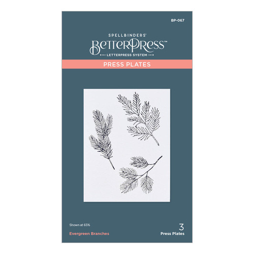 Spellbinders BetterPress Evergreen Branches Press Plate 
