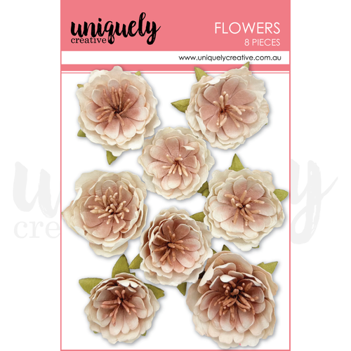 Uniquely Creative Whisper Bloom Flowers