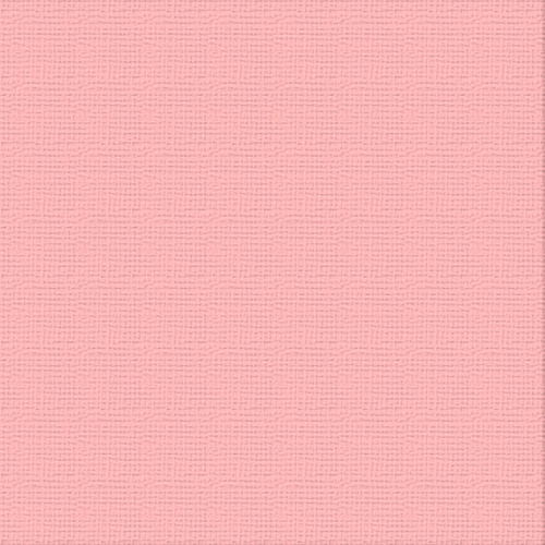 Couture Creations Carnation 12" Cardstock 10pk
