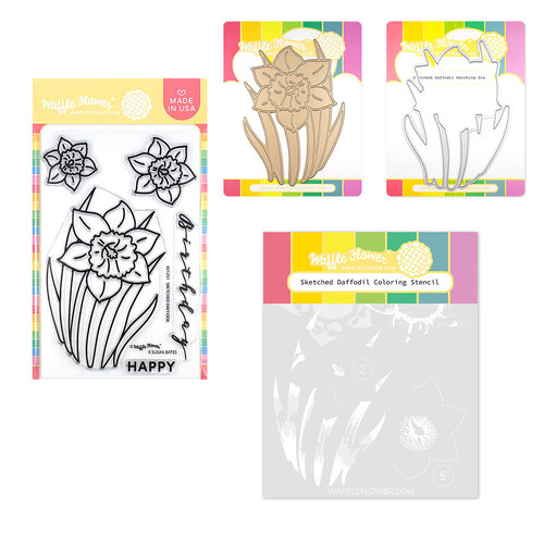 Waffle Flower Sketched Daffodil Bundle