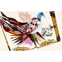 Dove of The East Clearance Cardstock image